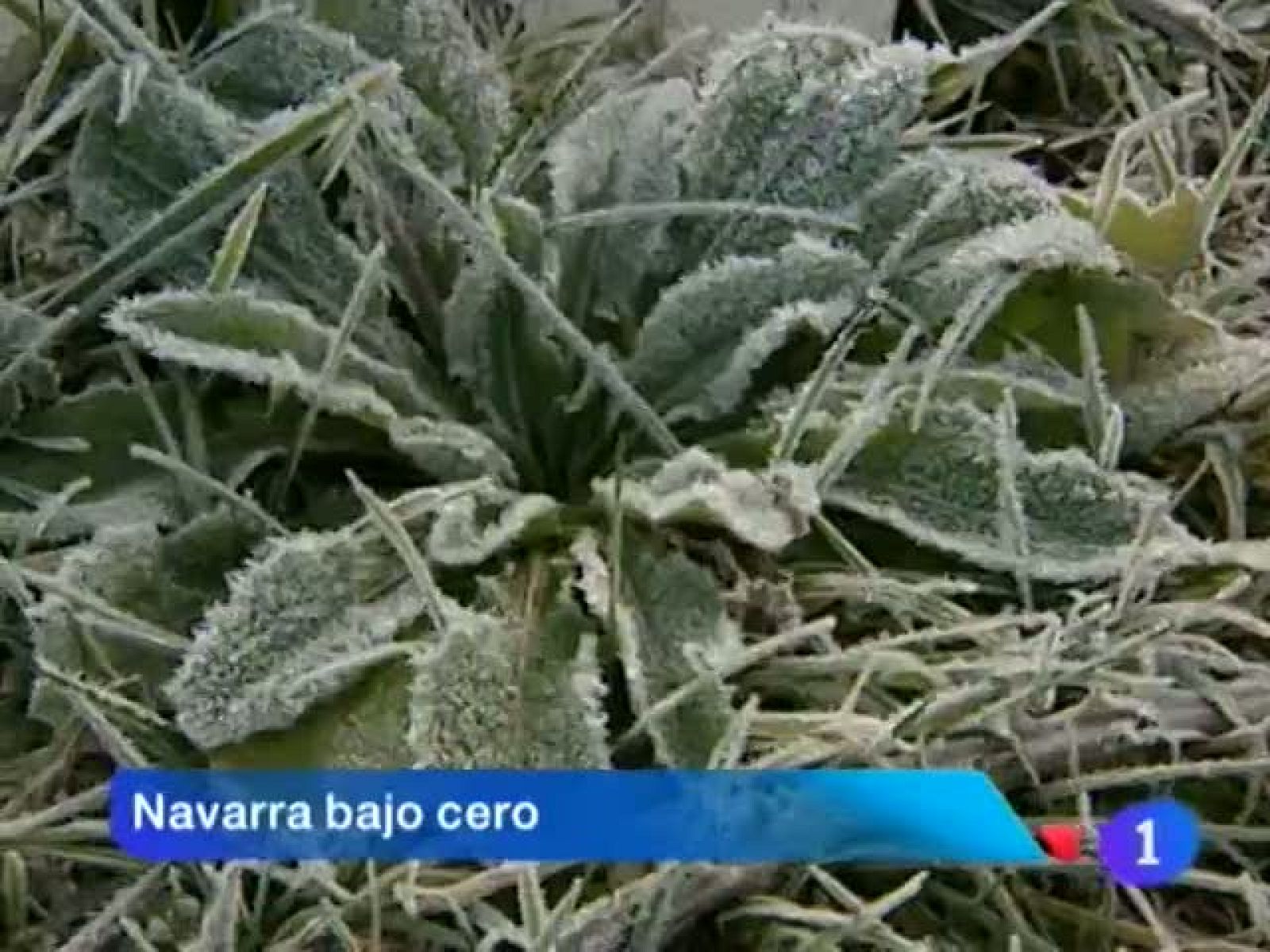 Telenavarra en 2' - 18/01/12 | Ver