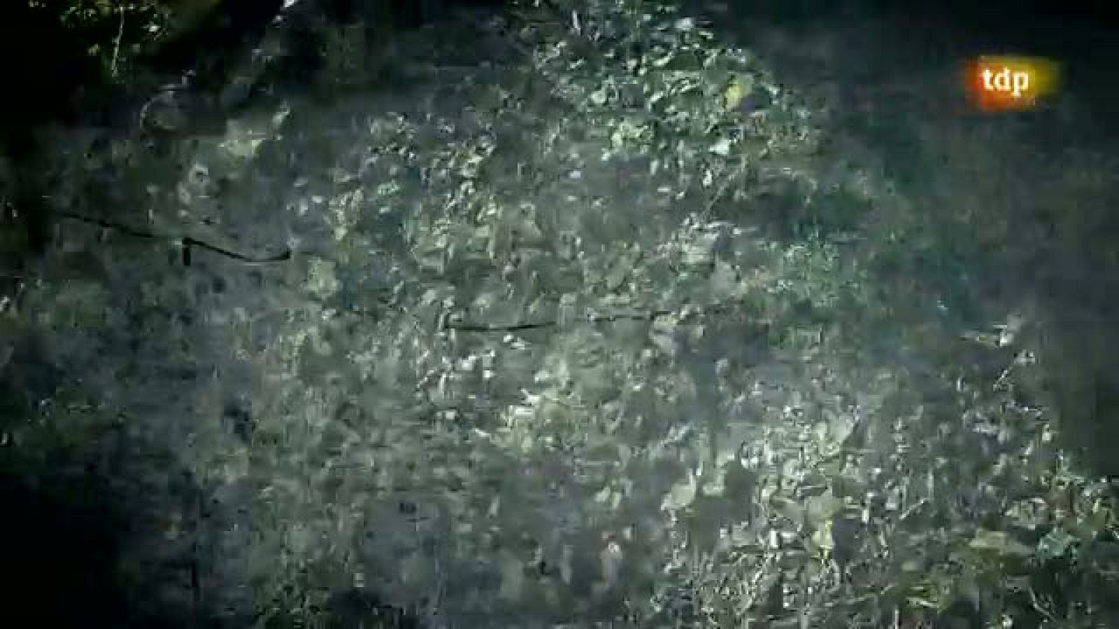 Titanes - Programa 2 - Running - 16/01/12