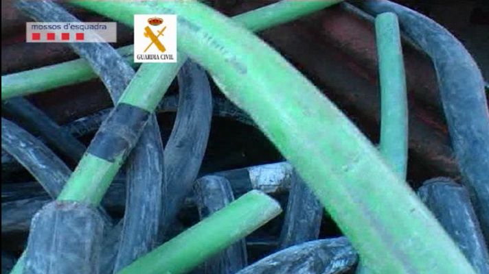 Telediario 1 - Red de robo de cobre