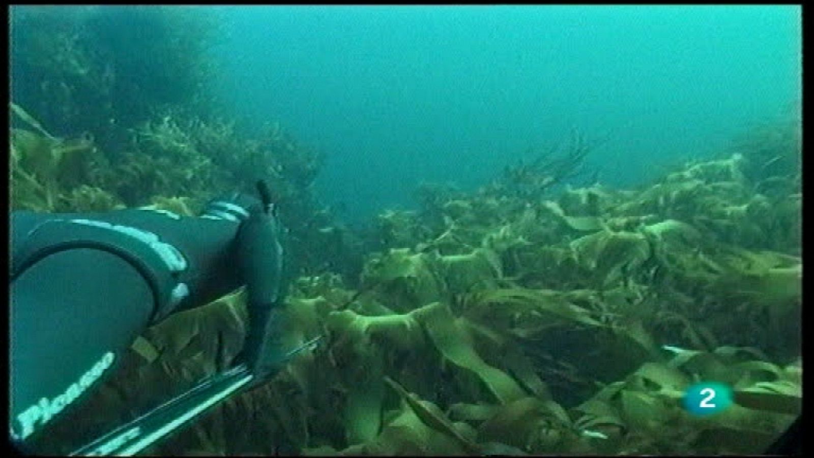 Jara y sedal - El rey del espumeru, 20 años - Ver ahora