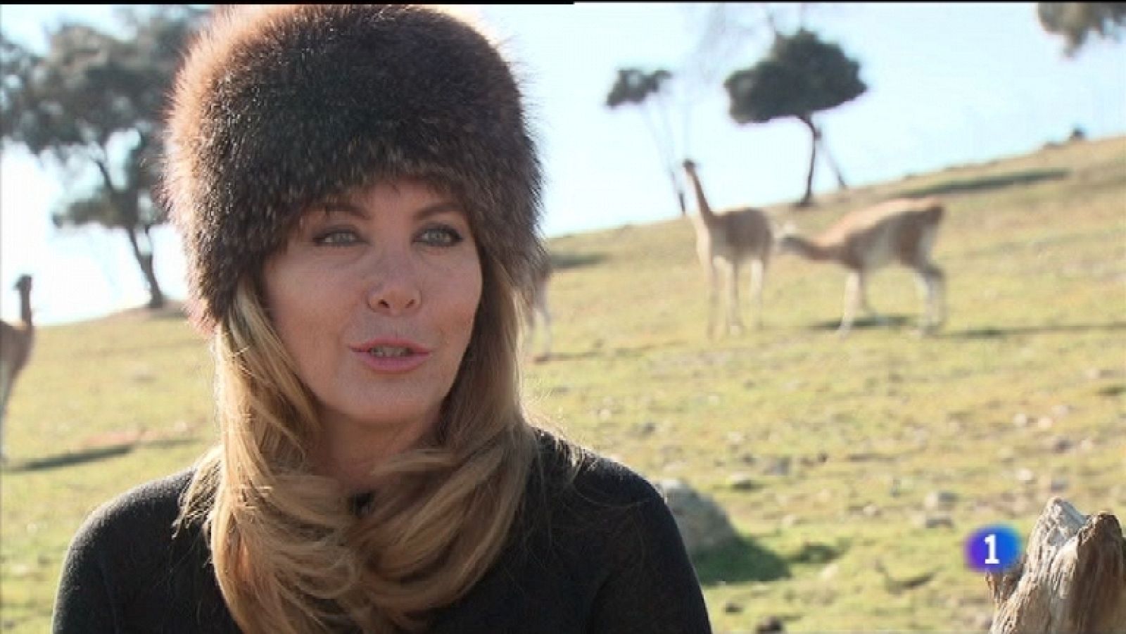 Más Gente - 22/01/12 - Ver ahora