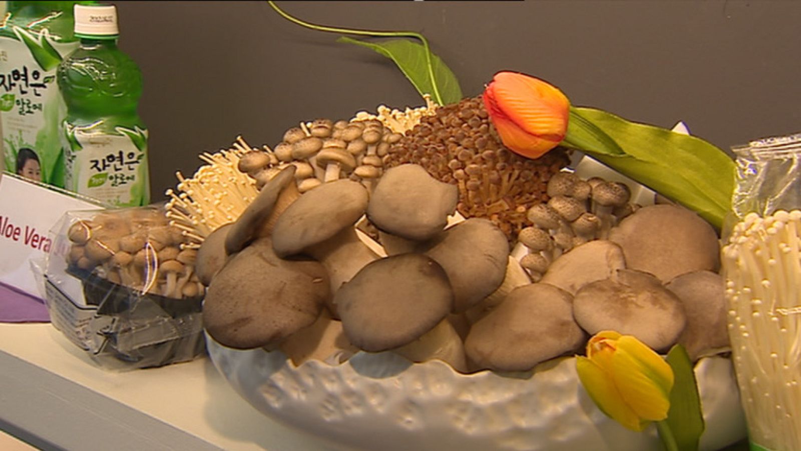 Informativo de Madrid - 24/01/12