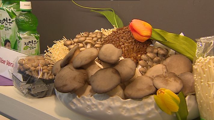 Informativo de Madrid - Informativo de Madrid - 24/01/12