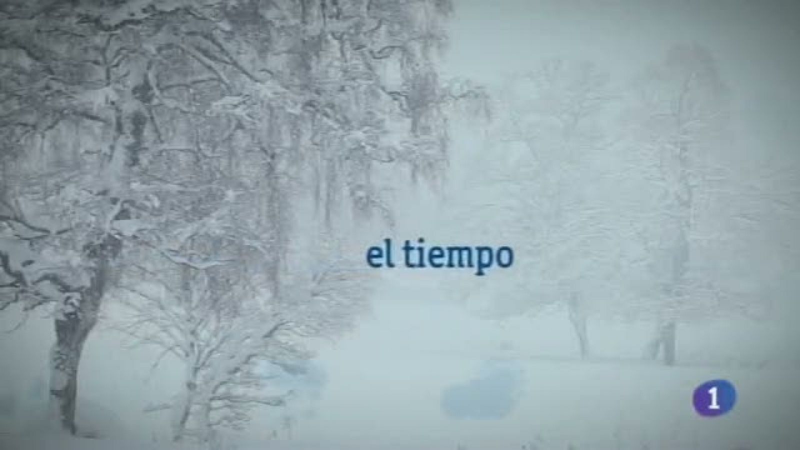 El tiempo en Castilla La Mancha (24/01/2012) | Ver