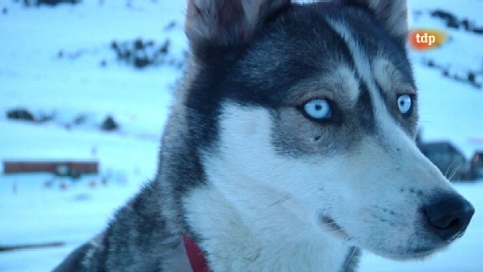 Pirena 2012 - Etapa 3 - 24/01/11 - Ver ahora