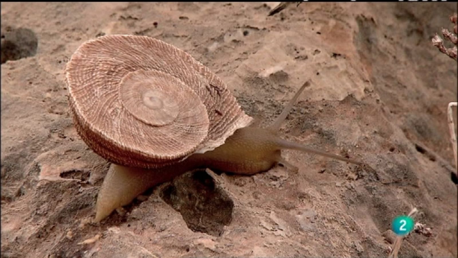 Biodiario - 25/01/12 - Ver ahora