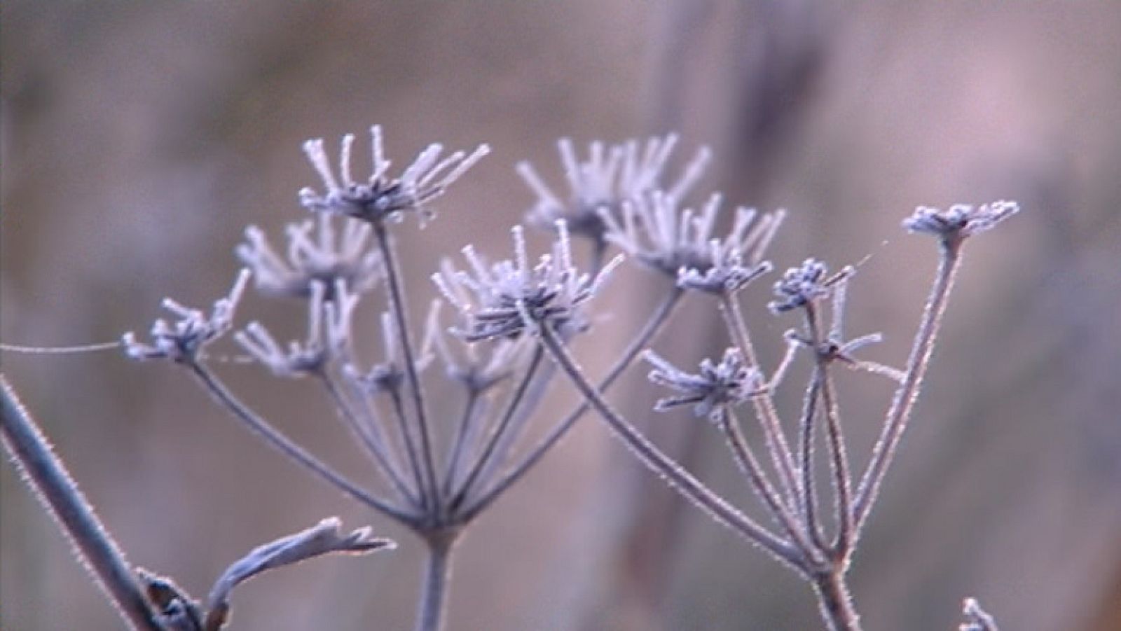 Lluvias localmente persistentes en el litoral levantino y Tarragona