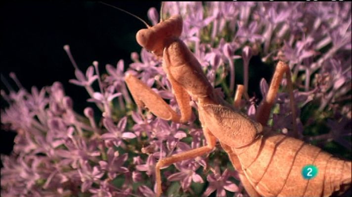 Biodiario - Biodiario - 26/01/12