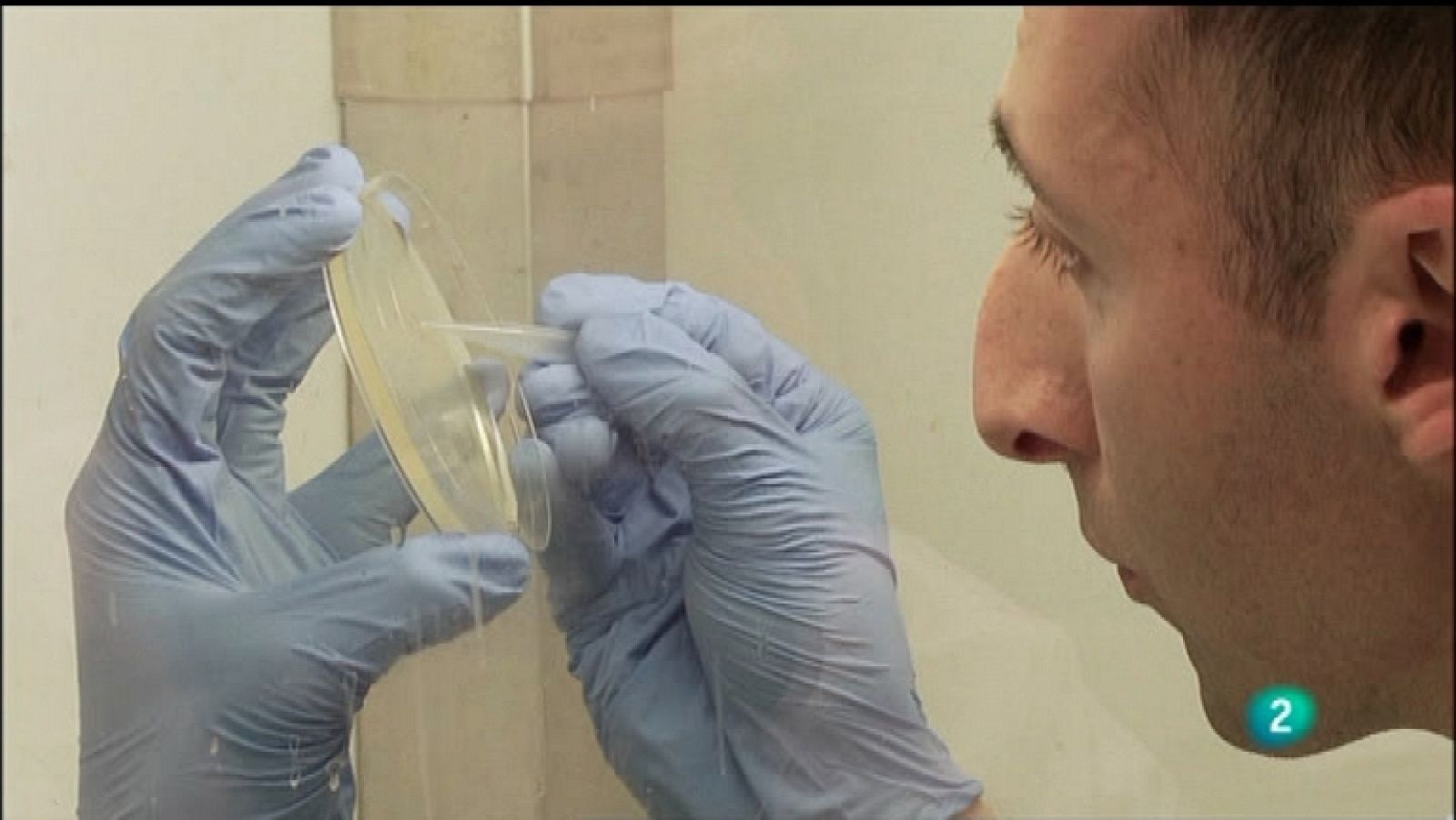 E+I Emprendedores e innovadores - Capítulo 17 - Ver ahora