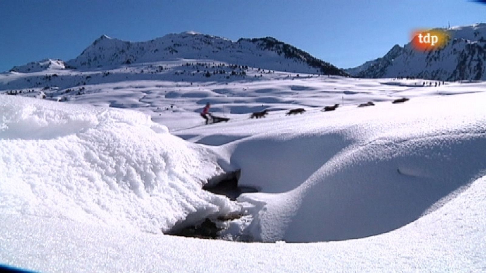 Pirena 2012 - Etapa 8 - 29/01/12 - Ver ahora