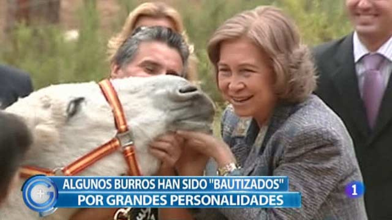 Más Gente - La casa del burro peligra por la falta de fondos