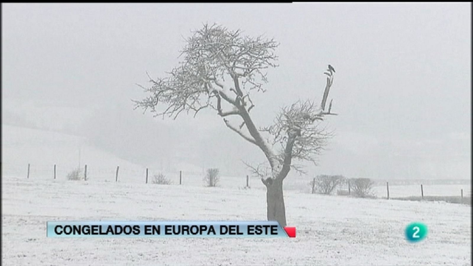La 2 Noticias - 30/01/12 - Ver ahora