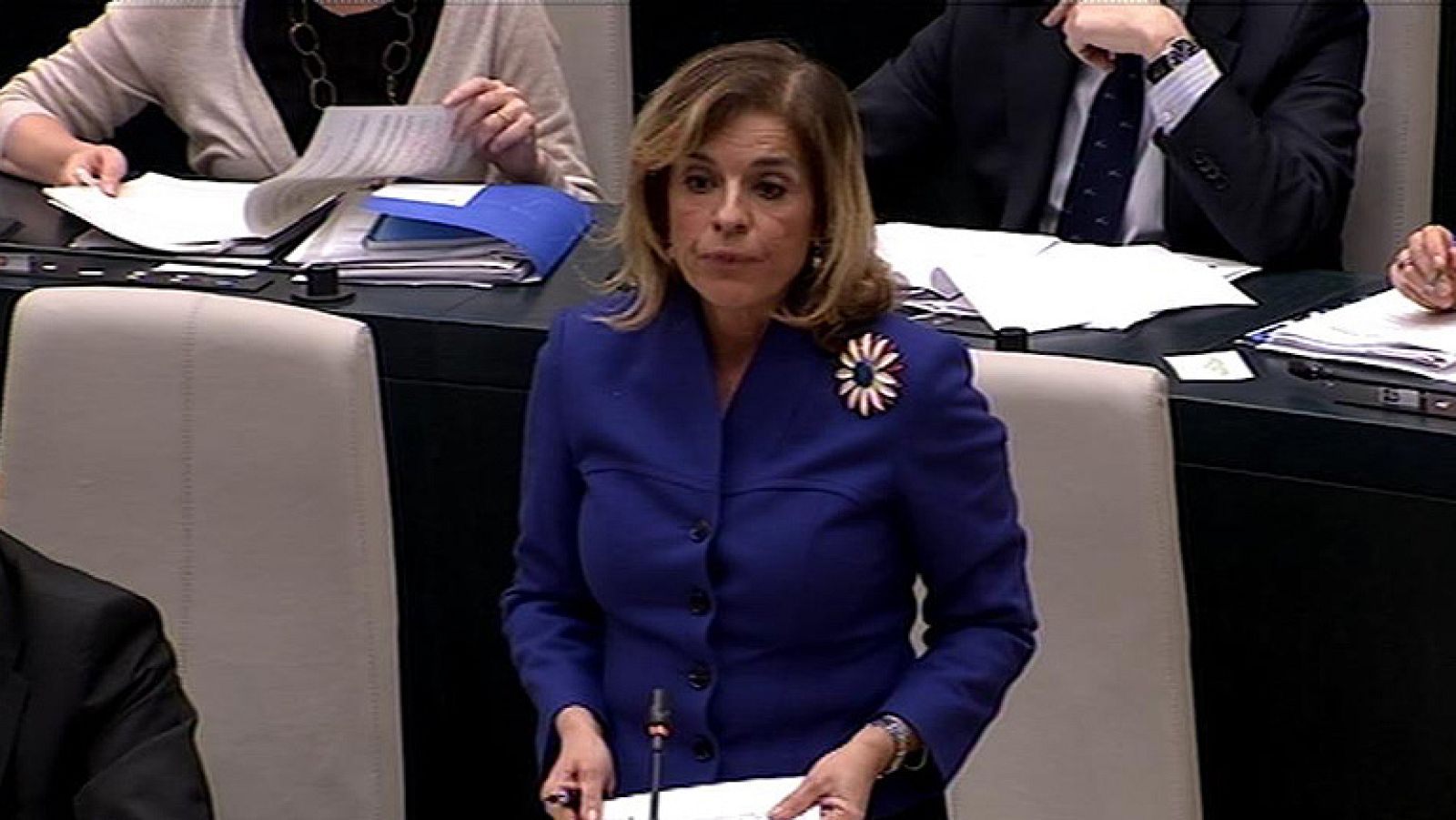 Informativo de Madrid - 31/01/12