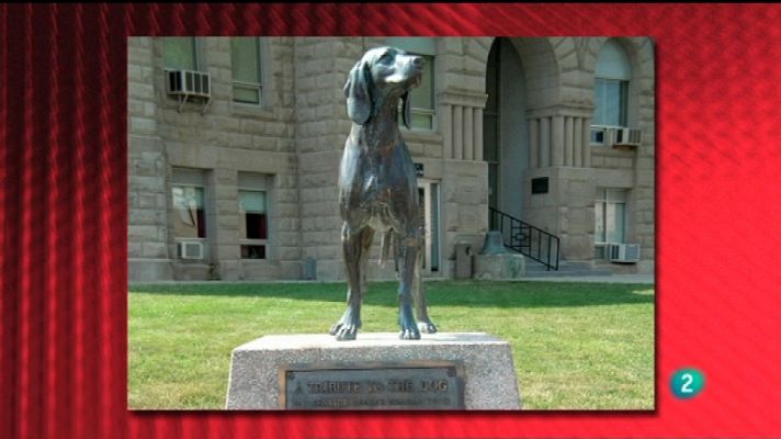 Saber y ganar - Saber y ganar - 31/01/12