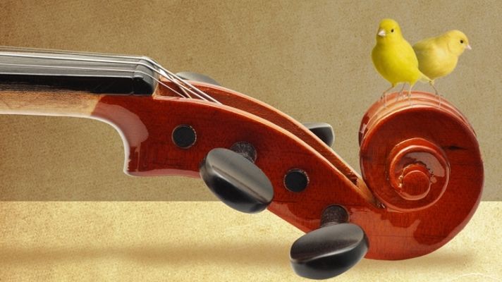 Programa de mano - Programa de mano - 31/01/12