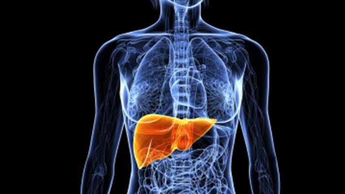 La mañana - Cómo debes cuidar tu hígado