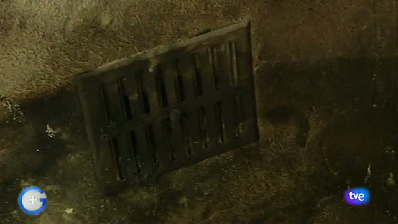 Más Gente - 29/01/12 - Ver ahora