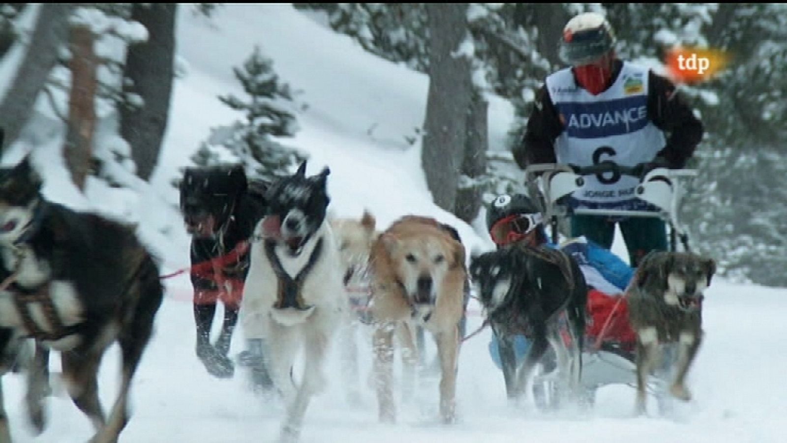 Pirena 2012 - Etapa 11 - 01/02/12 - Ver ahora