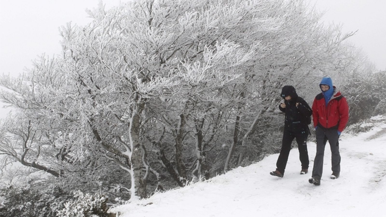 Telediario - 21 horas - 01/02/12 - Ver ahora