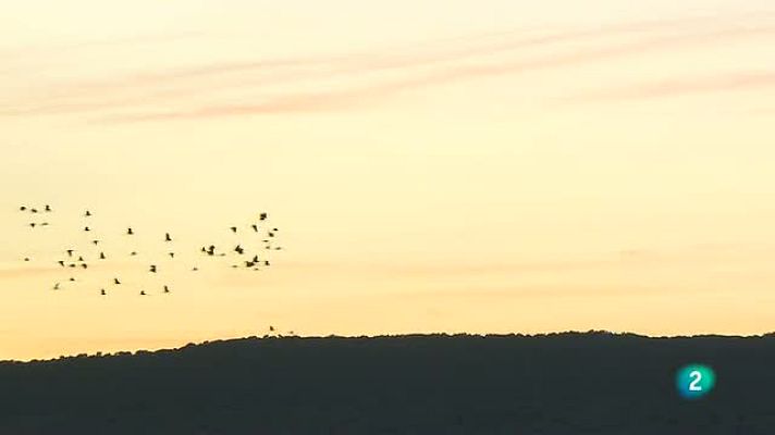 La aventura del Saber - Laguna del Cañizar