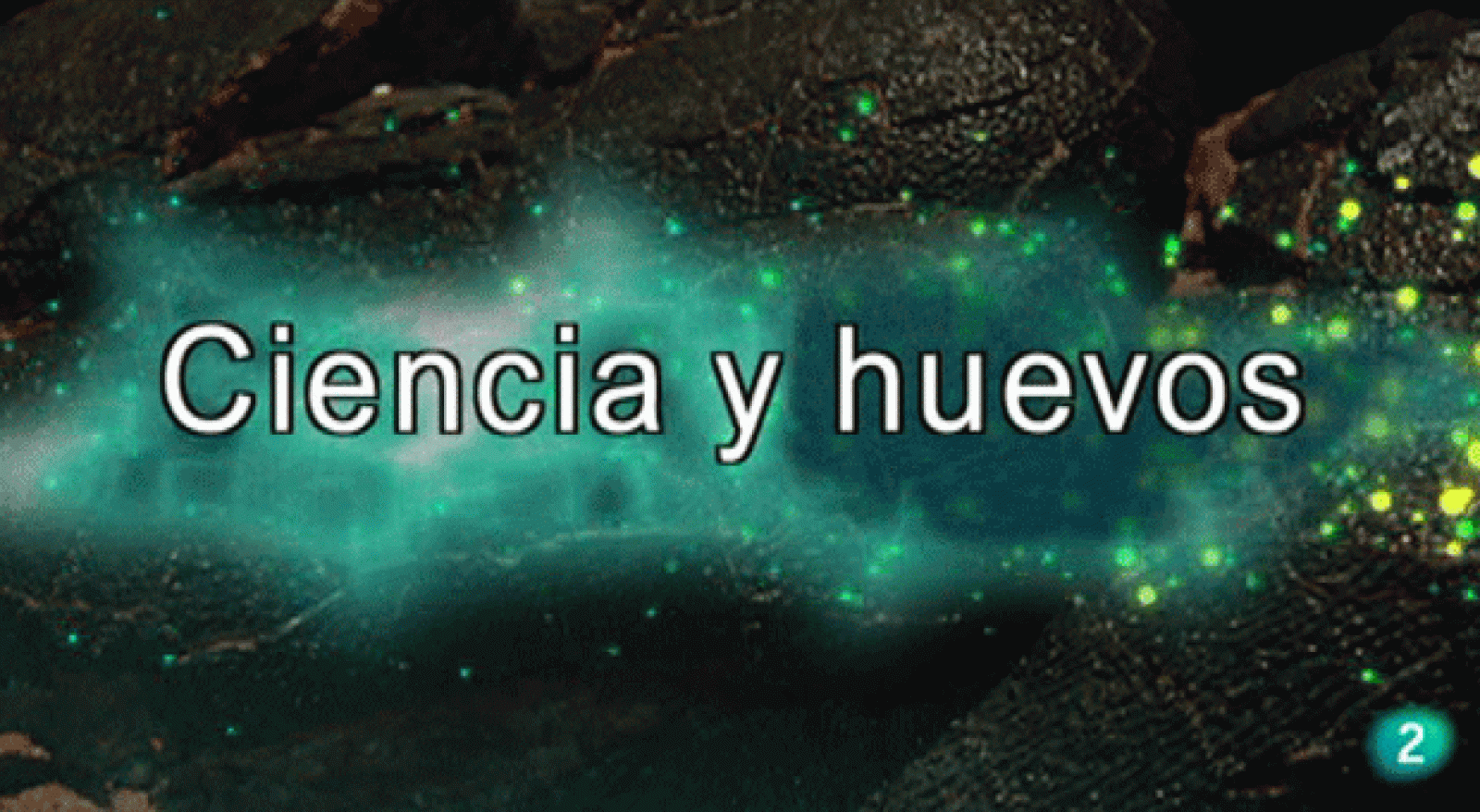 La aventura del saber. Experimentos Cosmocaixa: Ciencia y huevos