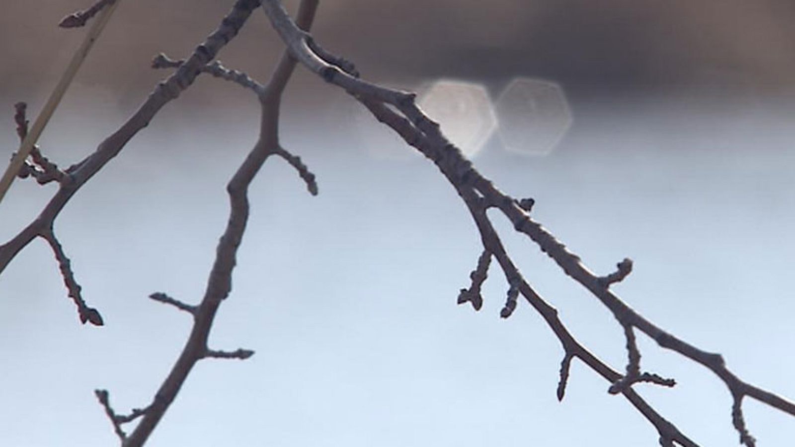 La falta de lluvias abundantes, contaminación y regadíos ilegales ponen en peligros 73 humedales españoles