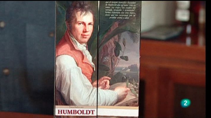 El escarabajo verde - Humboldt en Tenerife