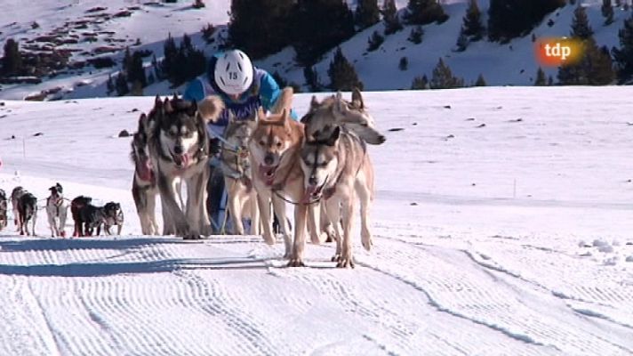 Pirena 2012 - Etapa 15