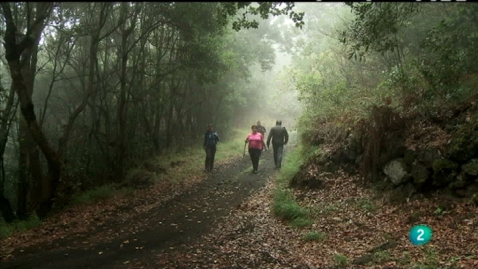 Biodiario - 05/02/12