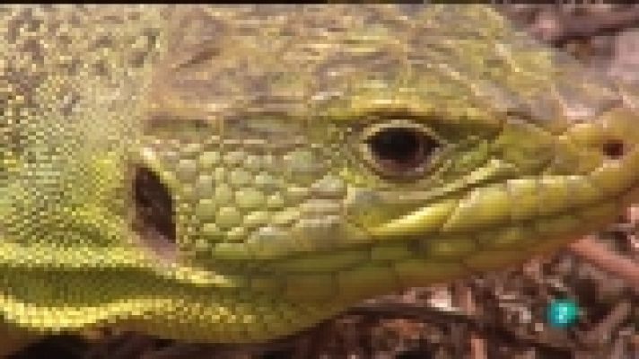 La aventura del Saber - La aventura del saber  - 06/02/12