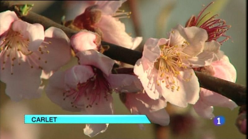 L'Informatiu - Comunitat Valenciana -  06/02/12 - Ver ahora