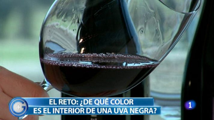 +Gente - Consejos para cuidar el vino