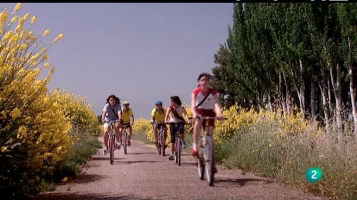 Biodiario - Biodiario - 06/02/12