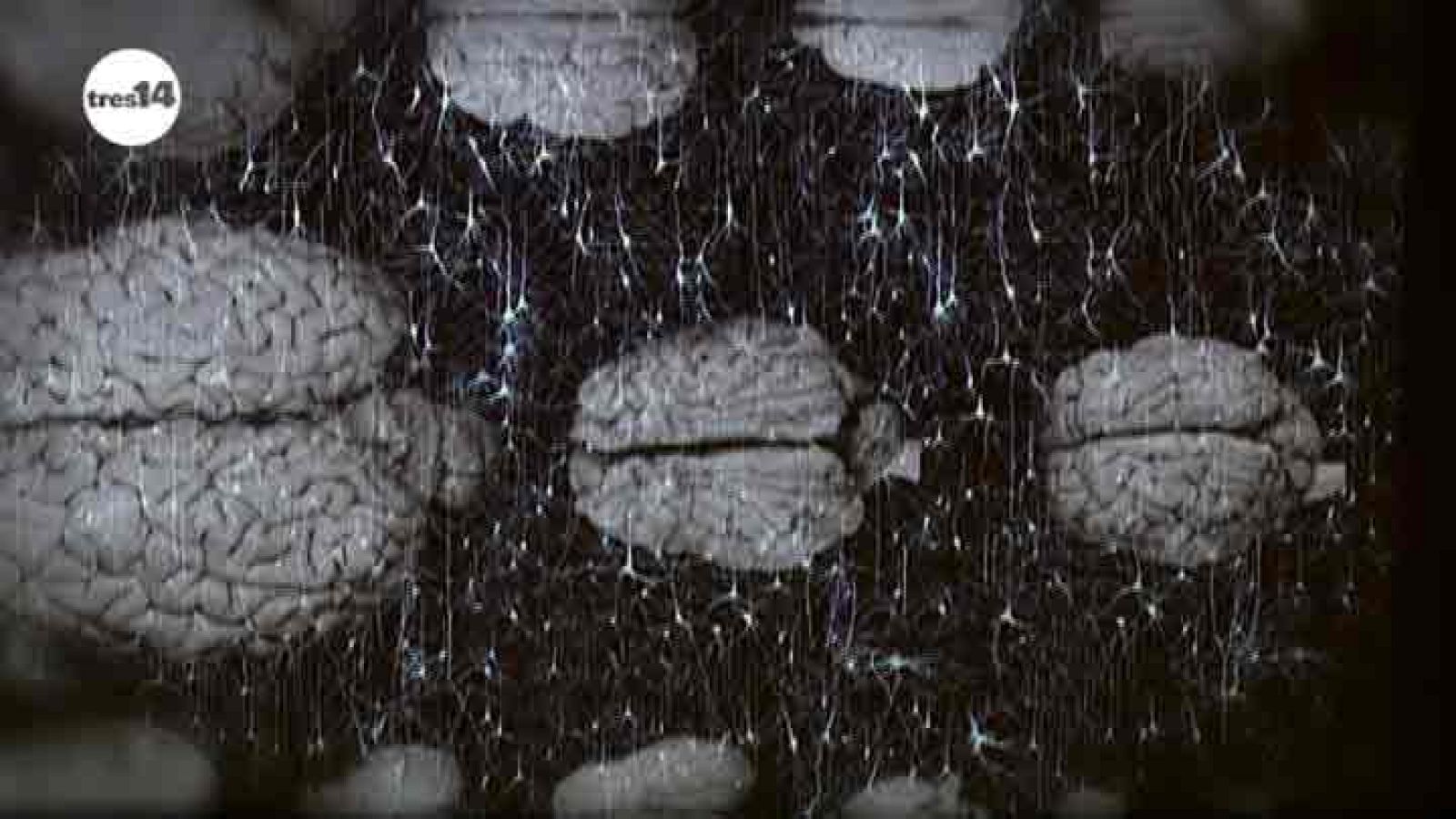 tres14 - Genios - avance