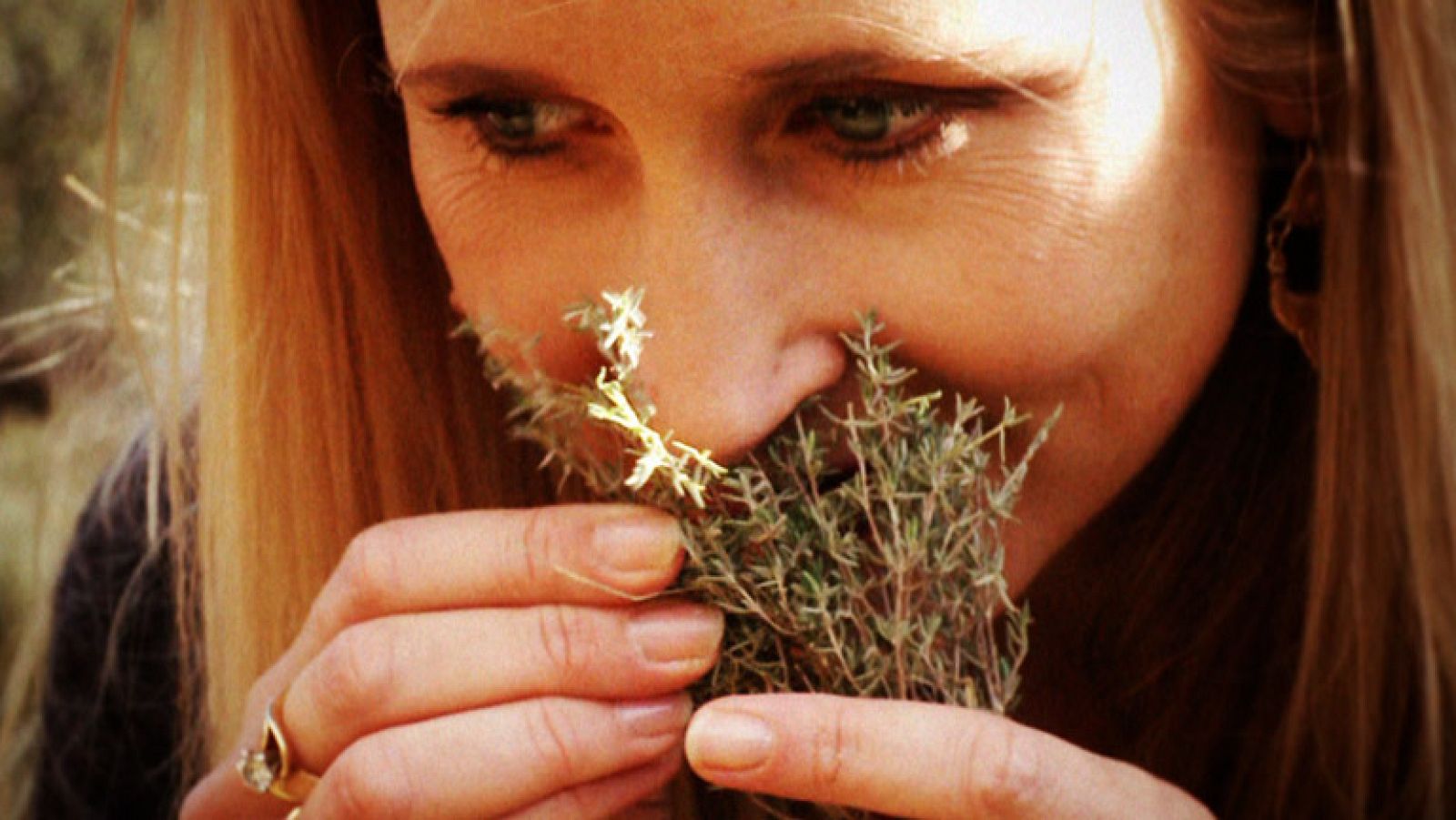 Destino:España - Cataluña VI - Nicole Andrus