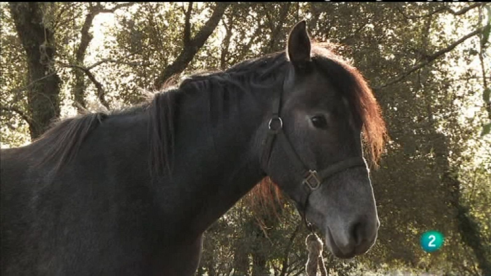 Biodiario - 08/02/12 - Ver ahora