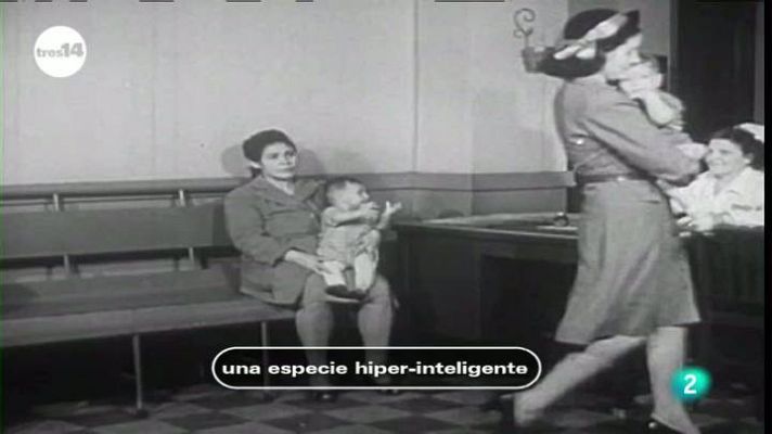tres14 - Una especie hiper-inteligente