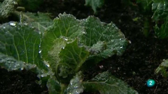 Para todos La 2 - Consumo responsable