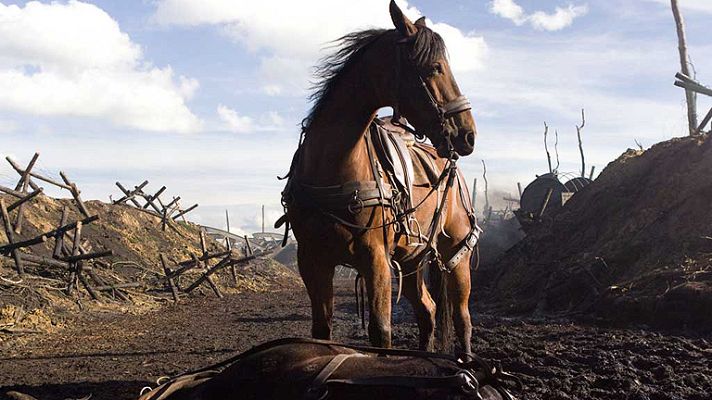 Días de cine - Días de cine: 'Caballo de batalla'