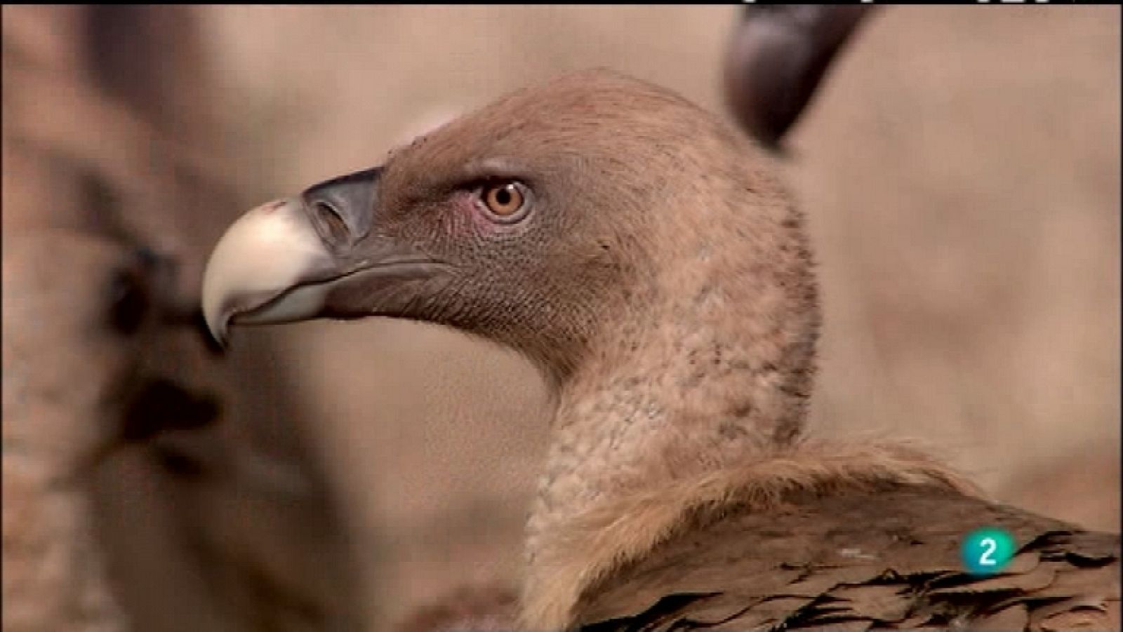 Biodiario - 10/02/12 - Ver ahora