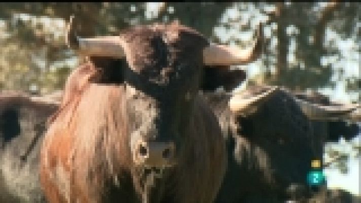 Tendido cero - Tendido cero - 11/02/12