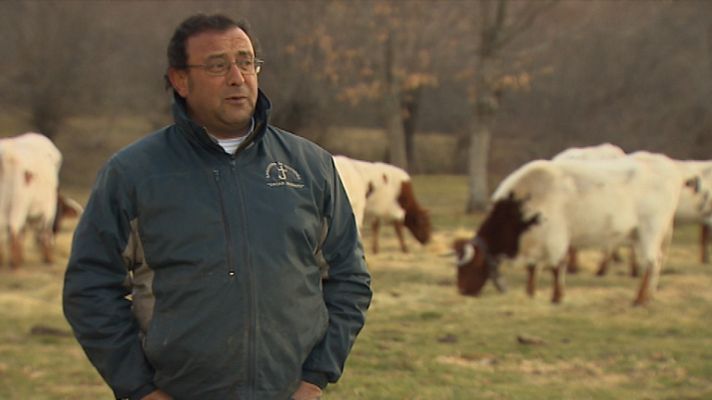 Telediario 1 - Razas ganaderas peligro extinción