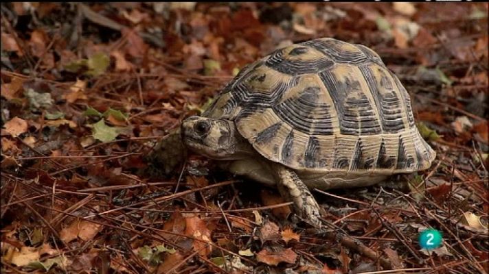Biodiario - Biodiario - 14/02/12