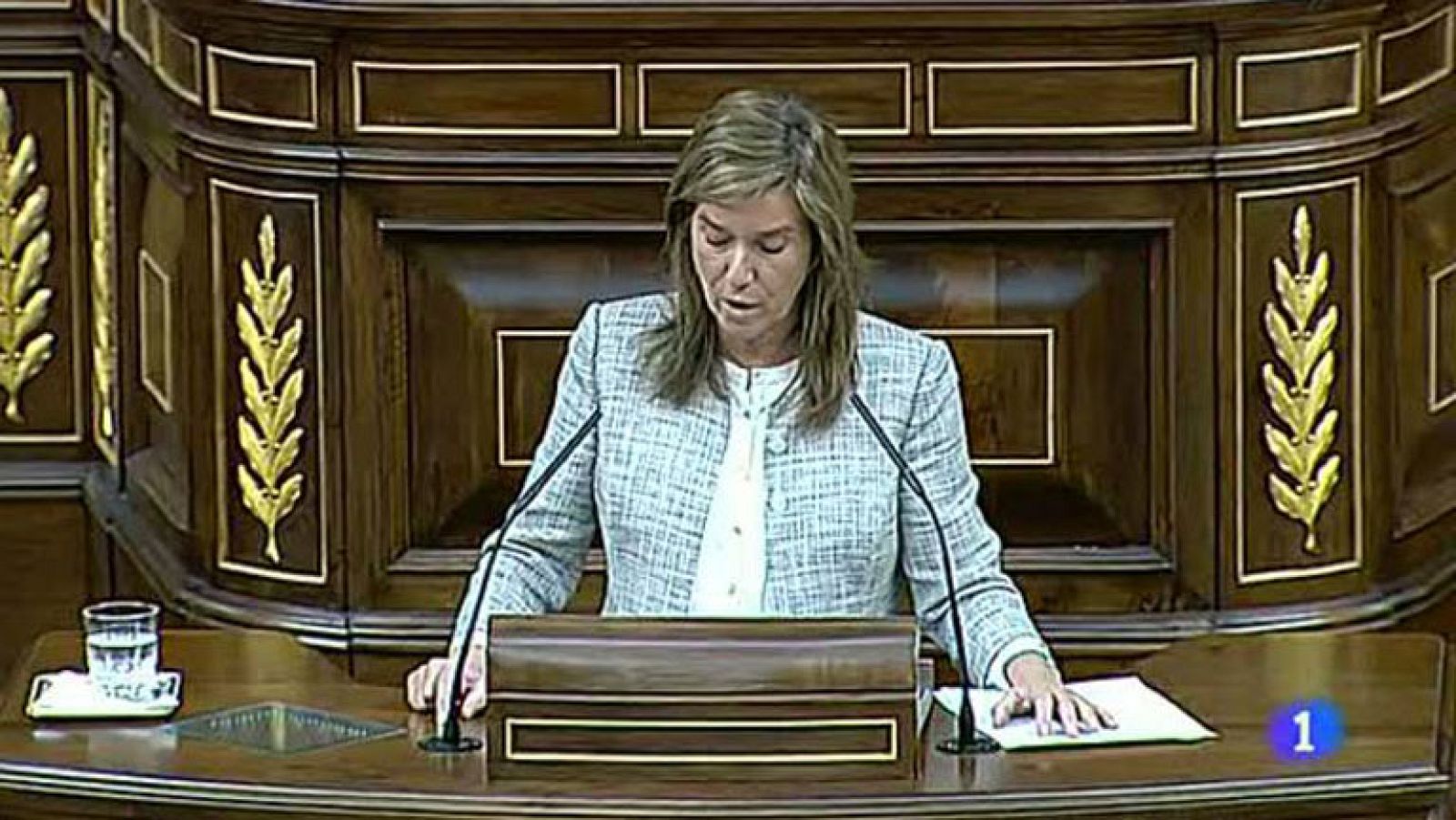 La Ministra de Sanidad ha insistido en un Gran Pacto de Estado que garantice un sistema público de sanidad, universal, gratuito y de calidad