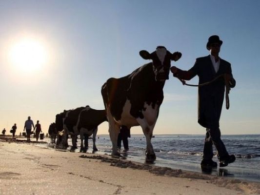 On Off - On Off: El surrealismo de Baines