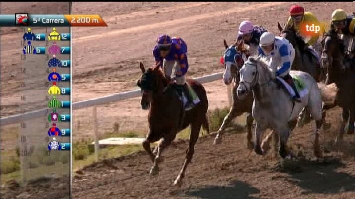 Turf - Turf - Carreras de caballos - 19/02/12