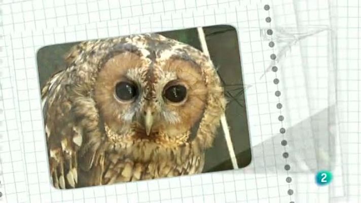 La aventura del Saber - Cuaderno de Gaia: Fotografía apilad