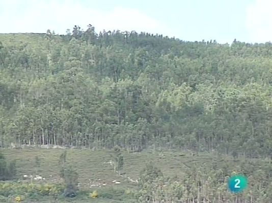 La aventura del Saber - La galicia de Rosalía