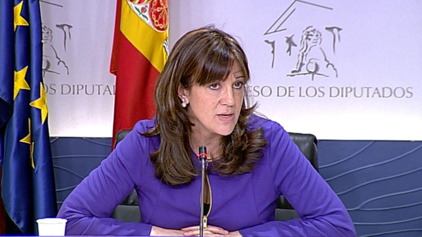 La oposición pide responsabilidades a la Delegada del Gobierno en Valencia