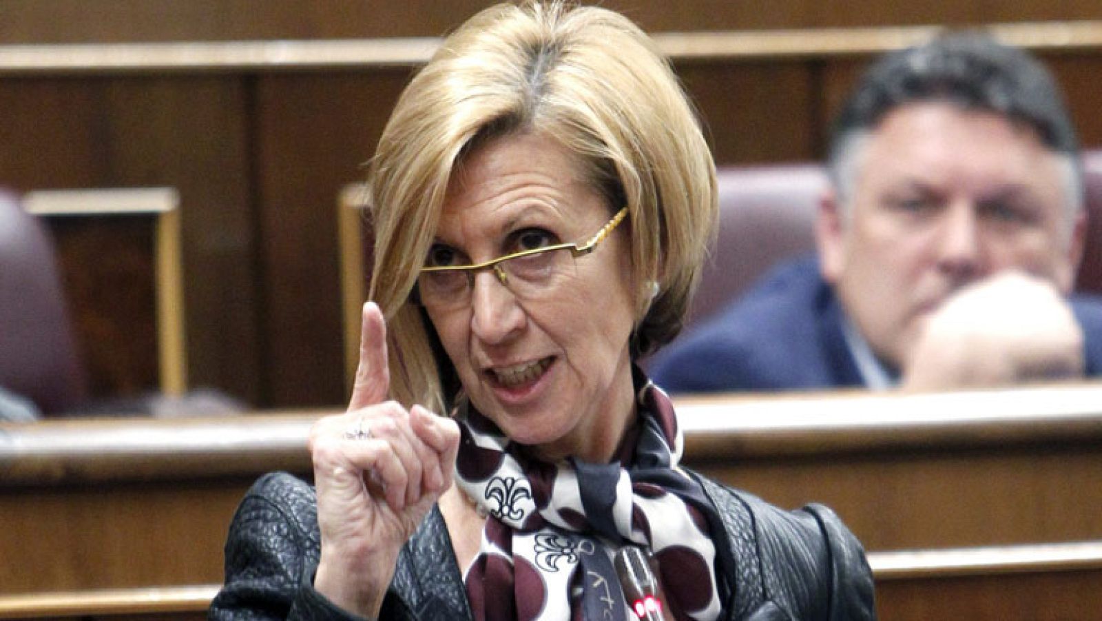 UPYD se queda sola en su petición de ilegalizar AMAIUR y BILDU